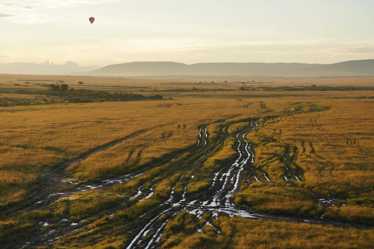 Water-filled tracks winding across the savanna in early light