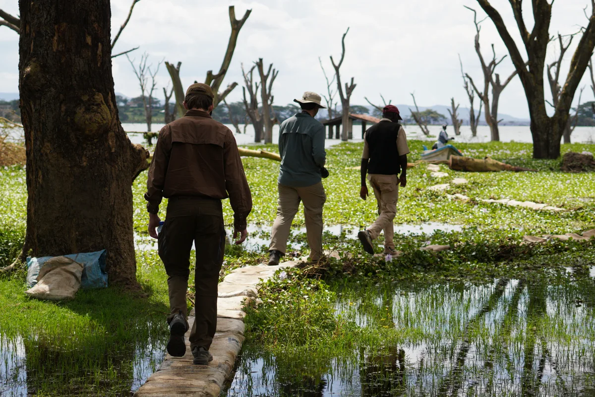 A group walking between trees beside shallow pools