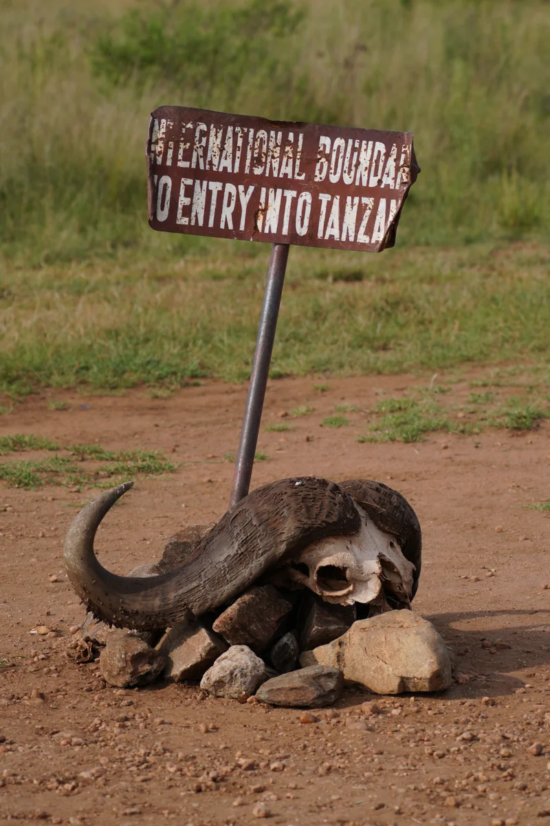 A buffalo skull beneath a roadside sign