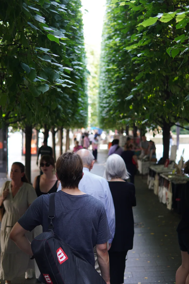 People walking beneath a canopy of park trees