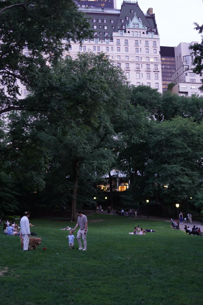 A family playing on a grassy lawn in Central Park